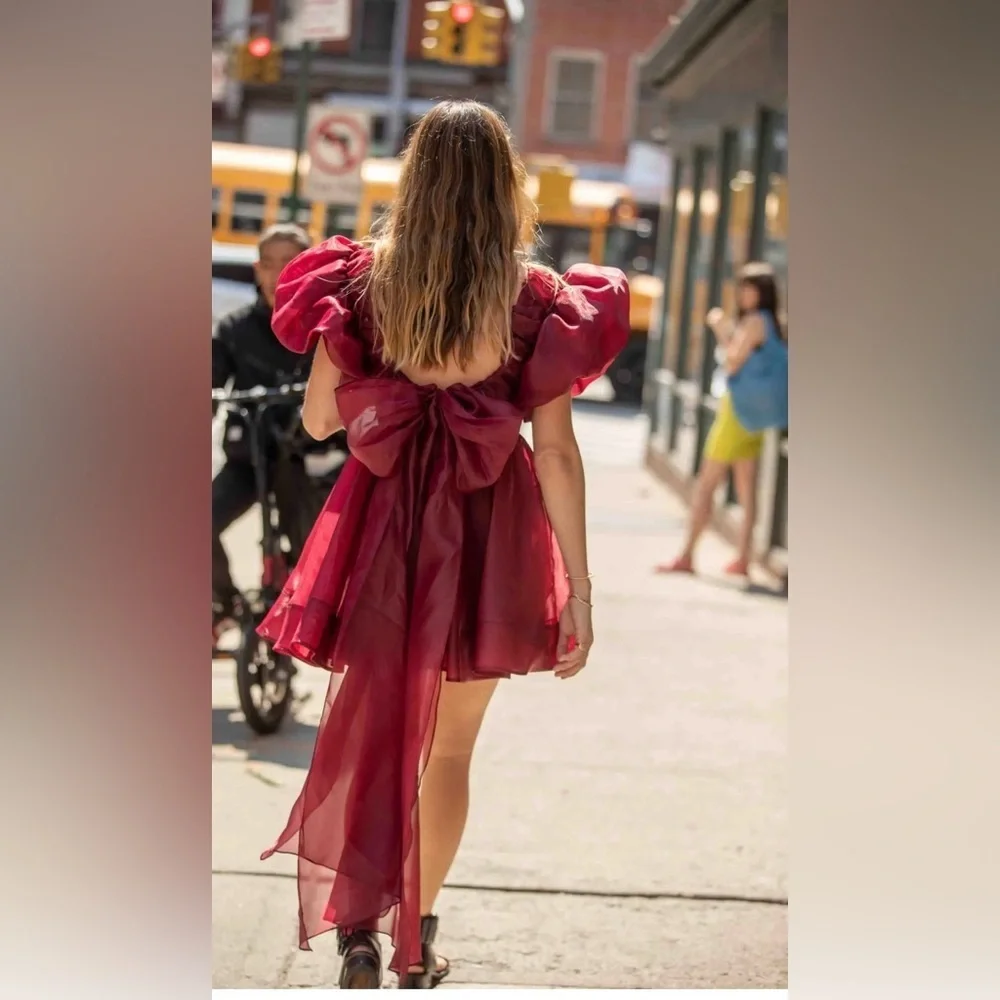 NWT Aje Gretta Tie Organza Burgundy Mini Dress Size Medium Open Back V neck - Picture 5 of 10